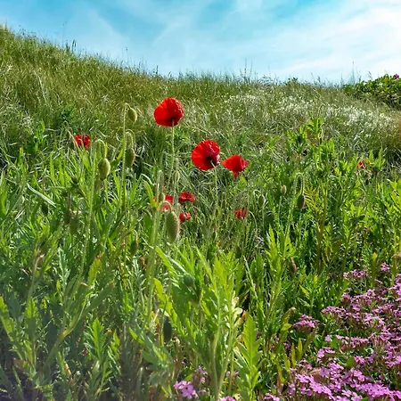 In Groote Keeten Near Sandy Callantsoog